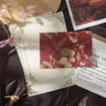 Vintage floral stationery set with retro letter paper, elegant envelope and wax seal for writing. - 3 Envelopes + 10 Rabbit Letter Papers + 3 Wax Seals / Begonia Red