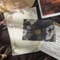 Vintage floral letter paper and envelope set with cute rabbit motif and wax seal decor. - 3 Envelopes + 10 Rabbit Letter Papers + 3 Wax Seals / Mysterious Black