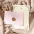 Retro stationery set with pink envelope, wax seal stamp, and cute bunny letter paper. - Light Pink 3 Envelopes + 10 White Rabbit Papers + 3 Stamps