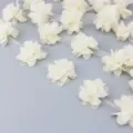 Cinta de encaje de gasa de 50 mm con flores para costura manualidades fiesta de bodas - Beige