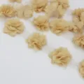 Champagne Chiffon Bloem Kant Afwerking, 50mm Brede Stof Lint voor Naaien en DIY Handwerk - Champagne
