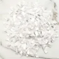 White satin ribbon bows bulk pack small craft bows for apparel sewing and DIY decoration 50pcs - 200 Pieces/Pack / White