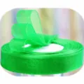 Bright green sheer organza ribbon roll for gift wrapping, flower bouquet and party decoration. - 1.5cm Wide / Iridescent Green
