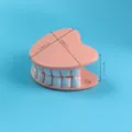 Leuke creatieve tandenclip voor snackzakjes, briefpapier, documenten en kantoorartikelen. - Tand