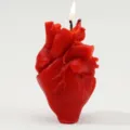 3D Anatomical Heart Scented Candle Creative Soy Wax Romantic Valentine Gift Home Decor - Red