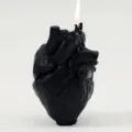 Black 3D Anatomical Heart Scented Candle, Unique Gothic Home Fragrance Gift Variant - Black