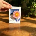 Pink flower scented candle with greeting card gift packaging for home decor and desktop ornament. - Sunflower Style Pink Flower (Gardenia)