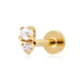 Elegant gold-plated S925 sterling silver labret stud earring with pearl and zircon inlay - Pearl and Rhinestone Set (26023) / Gold