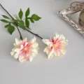 Künstliche 2-Köpfe Dahlien Blume Rosa Farbverlauf Seidenblumen Tisch Hochzeitsdekor - Weiß-Rosa