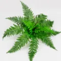 Fausse plante fougère de Boston feuilles vertes fougère artificielle pour déco murale 54cm - Fougère persane moyenne n° 1