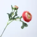 Ramo di ranuncolo artificiale in seta con due teste per decorazione domestica e foto. - Rosa