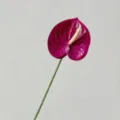 Kunst anthurie bloem stengel nep flamingo bloem huis bruiloft decoratie plant decor - Roze Paars