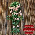 Guirlande de roses artificielles fleur suspendue en soie pour décoration murale et tuyaux - Roses victoria rose clair