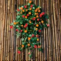 Guirlande de roses artificielles fleur de soie 0,9m 38 têtes décoration murale verte - Victoria orange