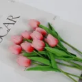 35cm / Rose Red