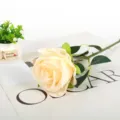 Artificial Champagne Rose Flower Single Stem for Wedding Home Decor Photography Prop - Champagne
