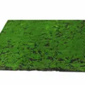 Tapis de mousse vert artificiel, style mousse naturelle noire, taille 100x100cm pour mur. - Mousse naturelle noire