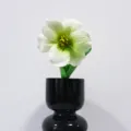 Artificial light green PU tulip flower in a minimalist black vase for home decor - 33cm / Green Brownie Tulip