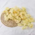 Enredadera decorativa de flores de cerezo artificiales amarillo pálido con 135 flores para hogar - 135 Cabezas Flor de Cerezo / Amarillo