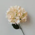 Elegant cream white artificial hydrangea flower stem for home and wedding floral decor - Champagne