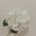 Elegant white artificial hydrangea flower stem for wedding hall and modern home decor - Upgrade Style - White