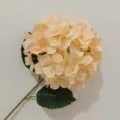 Artificial hydrangea flower single stem in champagne for home wedding decoration - Upgrade Style - Champagne