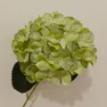 Single stem light green artificial hydrangea flower for wedding and home decoration - Upgraded 3D Printed Style / Green