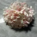 3D printed artificial hydrangea flower head in soft pink for wedding home decor - Hydrangea Flower Head / Light Pink
