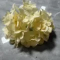 Realistic cream white artificial hydrangea flower head for home and wedding decoration - Hydrangea Flower Head / Champagne