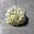 Realistic 3D printed white hydrangea flower head for wedding and home decoration - Hydrangea Flower Head / Cream