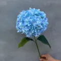 Life-like single stem 3D printed blue artificial hydrangea flower for home wedding decor - 3D Printed Style / 216 Patches / Light Blue