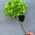 Single stem of 3D printed artificial green hydrangea flower for wedding and home decor - 3D Printed Style / 72 Pcs Set / Green