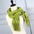 Solid avocado green imitation cashmere scarf for women, long pashmina shawl with tassels - Autumn Fragrance Green