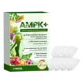 Patchs corporels AMPK+ pour la gestion du poids et brûle-graisses aux extraits, 7 pièces - Lot de Patches