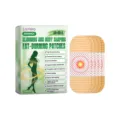 Patchs minceur Laniska Moringa pour le remodelage du corps et soins de la peau efficaces - 5 Pièces