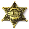 Close-up of a bronze six-pointed Sheriff badge with embossed lettering and texture. - Bronze