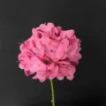 Elegant rose red artificial hydrangea flower head with stem for wedding decoration - Magenta Shinki Hydrangea