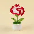 Handgemaakte gehaakte anjer in pot met rood-witte bloembladen in een witte keramische pot - Gradiënt Rood