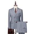 Elegant gray double-breasted slim fit men's suit set including jacket and trousers - Light Gray