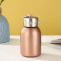 Cute mini bronze 304 stainless steel insulated pocket cup with metal carrying ring - 300ml / Gold