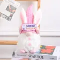 Cute Easter gnome plush toy with pink bunny ears and light-up design, perfect festive home decor. - Rabbit Ear Gnome (Pink) / Pink