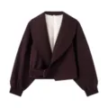 Dark brown cropped jacket featuring a wide lapel, long sleeves, and a stylish side belt detail. - XS / Tops / Coffee