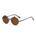 Lunettes de soleil rondes vintage à bascule avec monture métallique et verres marron. - Monture Bronze Verres Thé C6