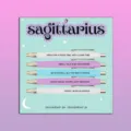 5-pack Sagittarius constellation ballpoint pens set with funny quote designs and backing card. - Sagittarius / 5 Pcs Set