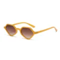 Lunettes de soleil tendance géométriques en gelée pour femmes et hommes, petite monture. - Monture Marron Verres Dégradés Marron