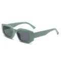 Chic light green thick frame geometric sunglasses, stylish retro punk UV protection shades. - Green Frame Gray Lens C5