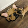 Französische Bulldogge Form Tufting Teppich süß Plüsch Bodenmatte für Wohnzimmer Schlafzimmer - Französische Bulldogge / 40*60cm