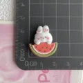 Cute resin watermelon rabbit charm for DIY hair clips, shoes, and phone cases decoration. - Watermelon Rabbit