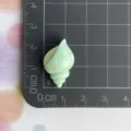 Grüner Harz Muschel Charms DIY flache Rückseite für Handyhülle Haarnadel Schmuckherstellung. - Grün Punktierte Meeresschnecke