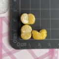 Μικρές φέτες πορτοκαλιού από ρητίνη 3D για χειροτεχνίες, διακόσμηση νυχιών και μίνι διακοσμήσεις. - Κίτρινο πορτοκάλι / Κίτρινο